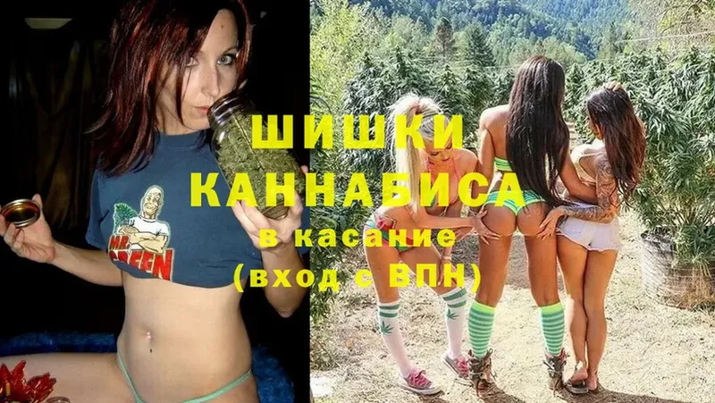 Шишки марихуана Bruce Banner  закладки  Гатчина 